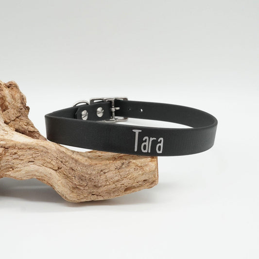 Schickes schwarzes Biothane Halsband mit Edelstahlbeschlägen und individuellem Namen.