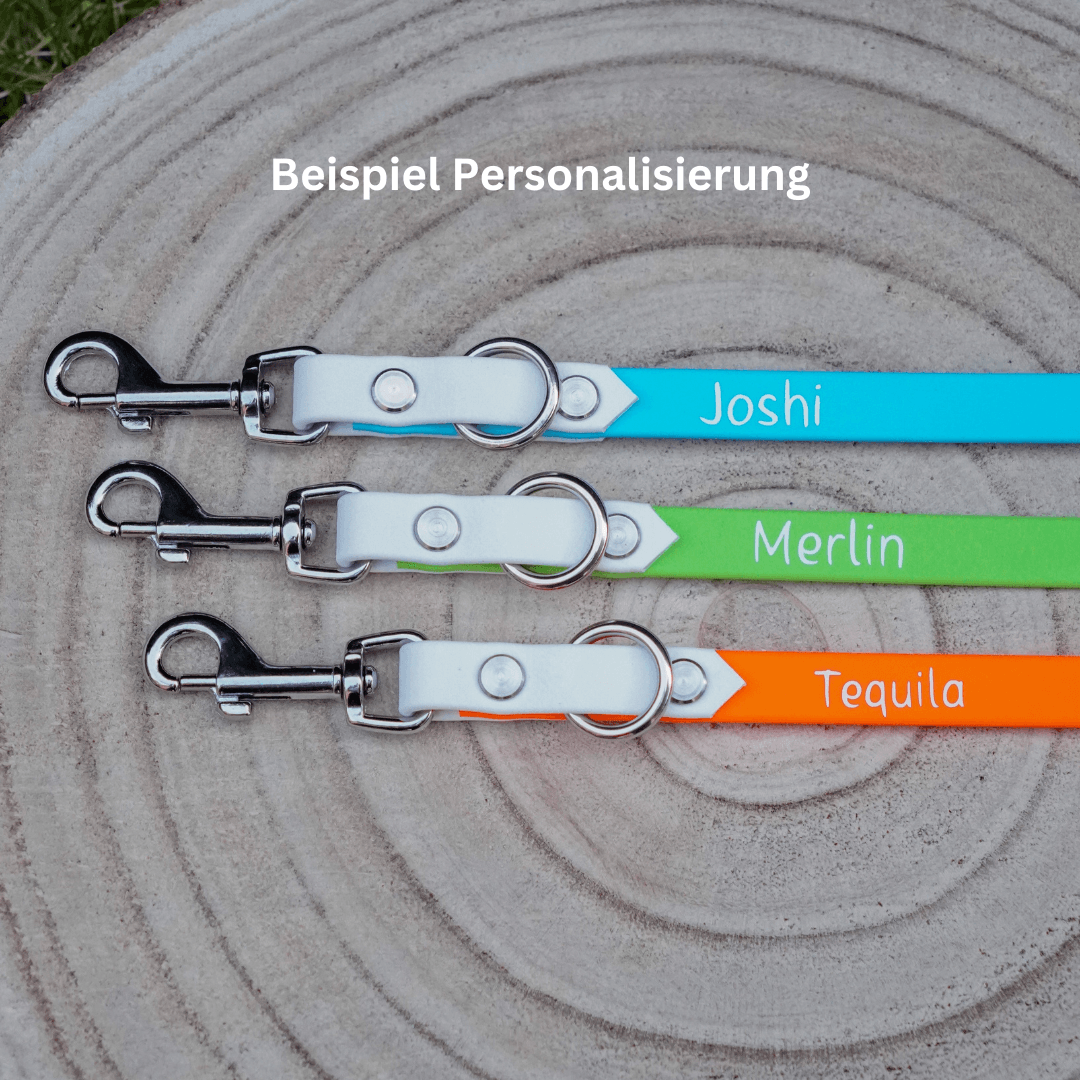 Drei Biothane-Leinen in Türkis, Grün und Orange mit silbernen Karabinern und individueller Namenspersonalisierung als Beispiel.