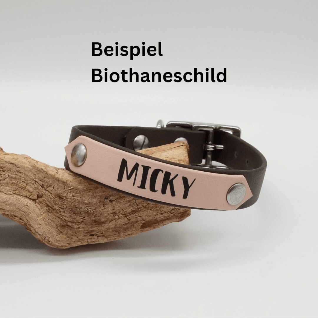 Beispielbild für ein Biothane Halsband mit einem Namensschild.