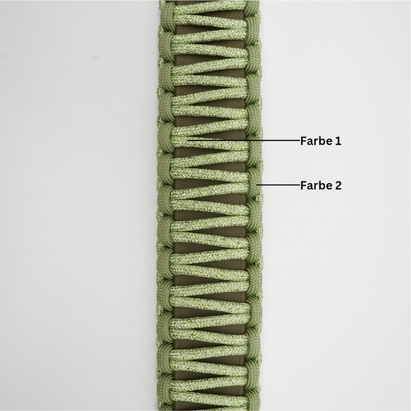 Ein geflochtenes Hundehalsband mit zwei verschiedenen Farbsträngen: Farbe 1 (hellgrün) und Farbe 2 (dunkelgrün).