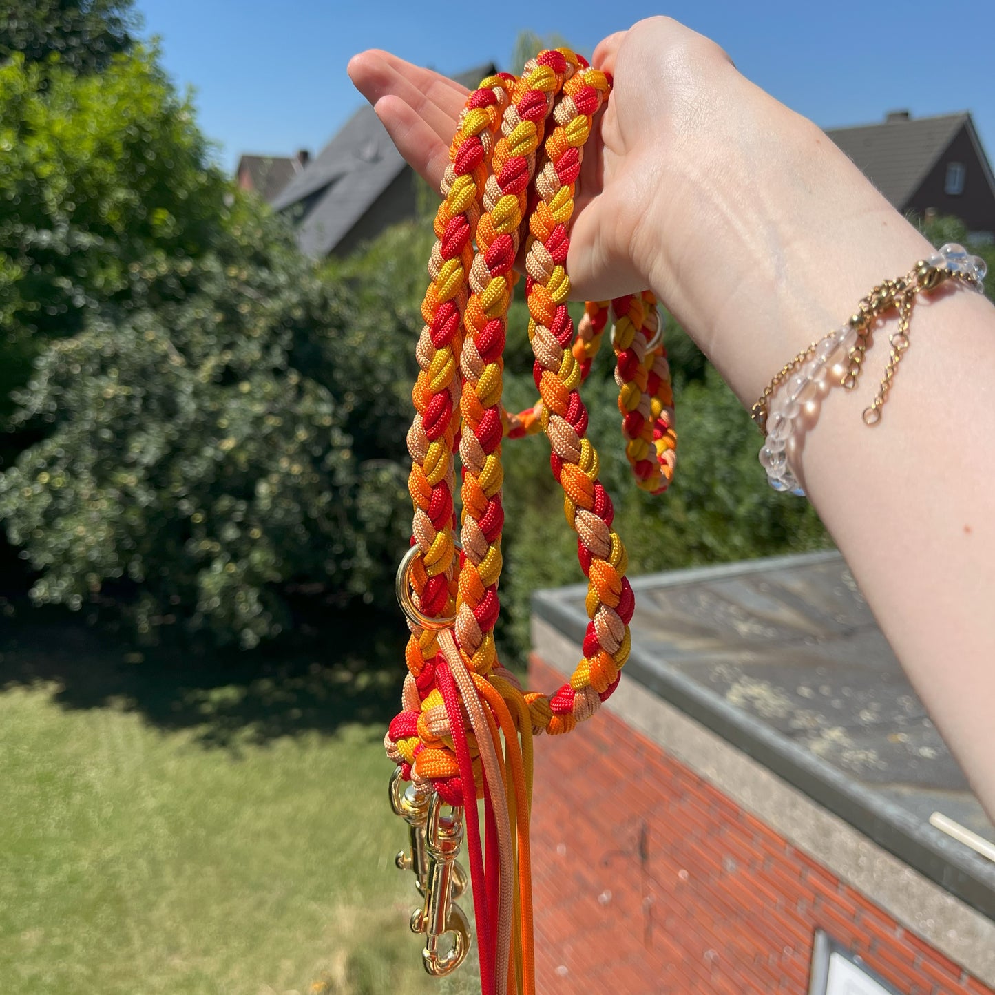 Paracord Leine Charlie