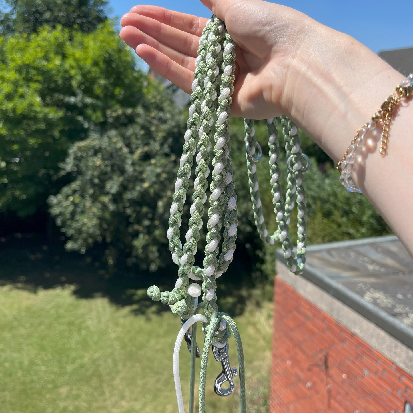 Paracord Leine Charlie mini