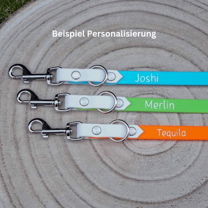 Drei Biothane-Leinen in Türkis, Grün und Orange mit silbernen Karabinern und individueller Namenspersonalisierung als Beispiel.