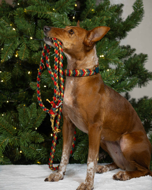 Raya's Weihnachtswald