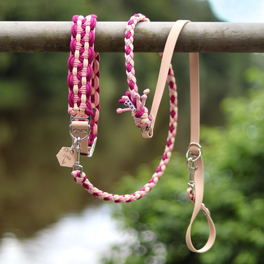 Luna´s Set | Sunny Halsband/ Nero Leine