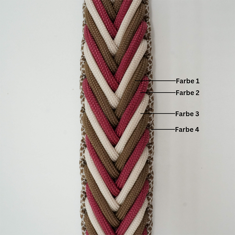 Ein geflochtenes Hundehalsband mit vier verschiedenen Farbsträngen: Farbe 1 (weiß), Farbe 2 (beige), Farbe 3 (rot) und Farbe 4 (dunkelbraun).