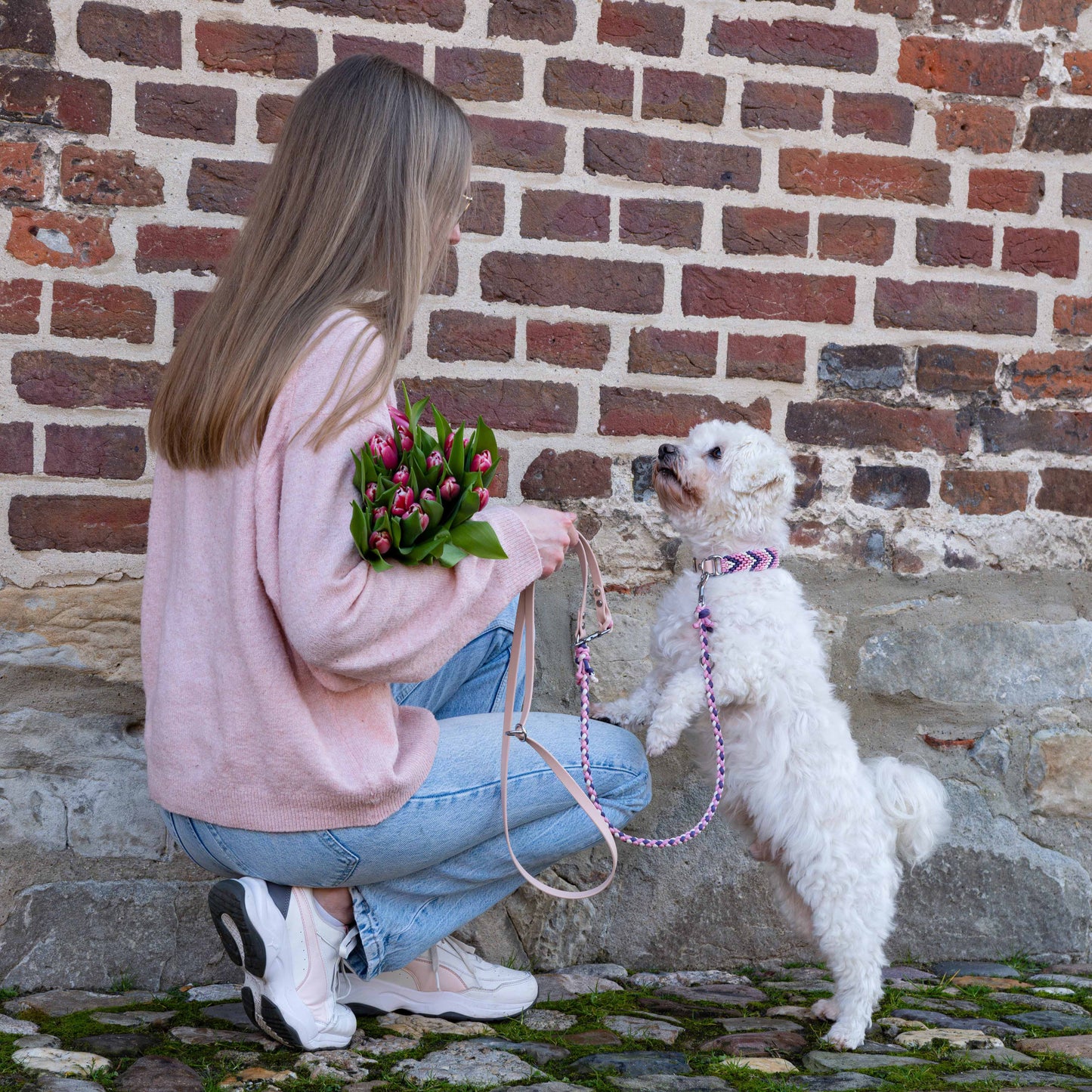 Kleiner weißer Hund mit handgefertigtem Paracord Halsband und passender Leine in Rosa-Pink steht an eine Frau gelehnt.