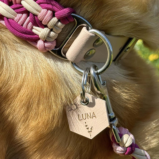 Ein Hund mit einem geflochtenen Paracord-Halsband in den Farben Pink und Weiß, das einen Anhänger mit der Gravur 'Luna' und einer Sonnen- und Blumenillustration trägt.