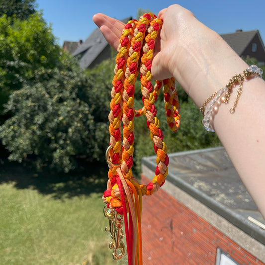 Paracord Leine Charlie