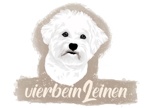 vierbeinLeinen